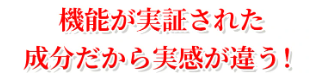 機能が実証された