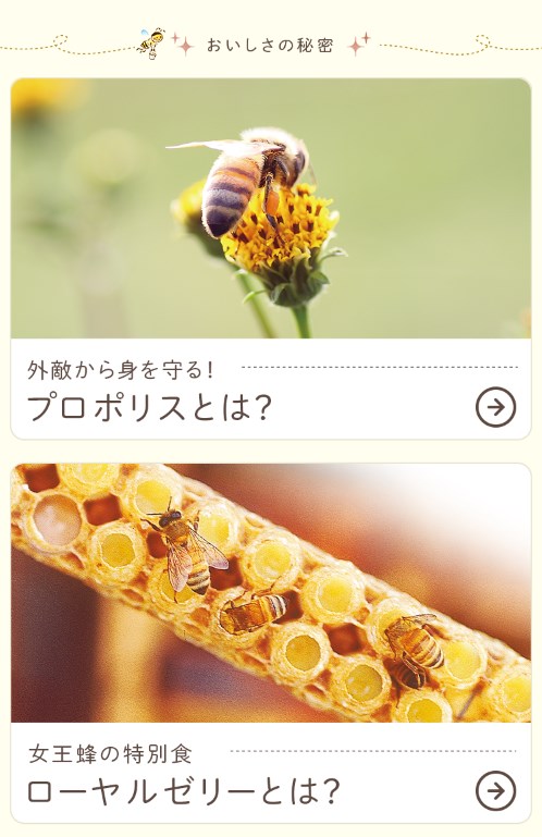 武州養蜂園5