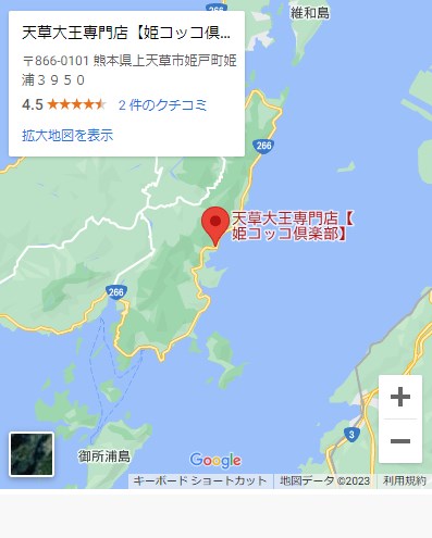天草大王13