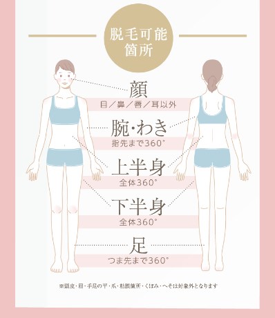 シースリー14