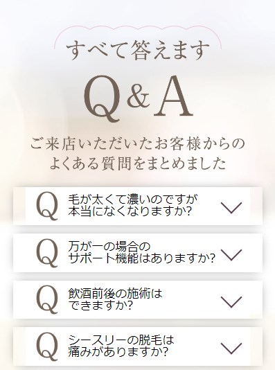 シースリー31