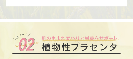 スッピン33