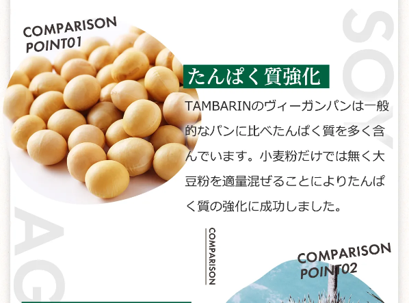 タンバリン6