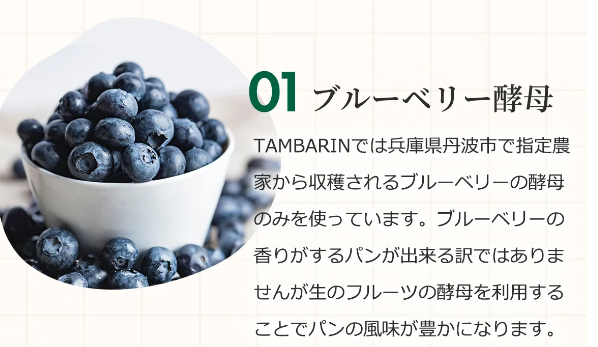 タンバリン29