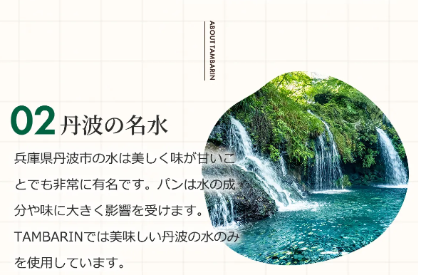 タンバリン30