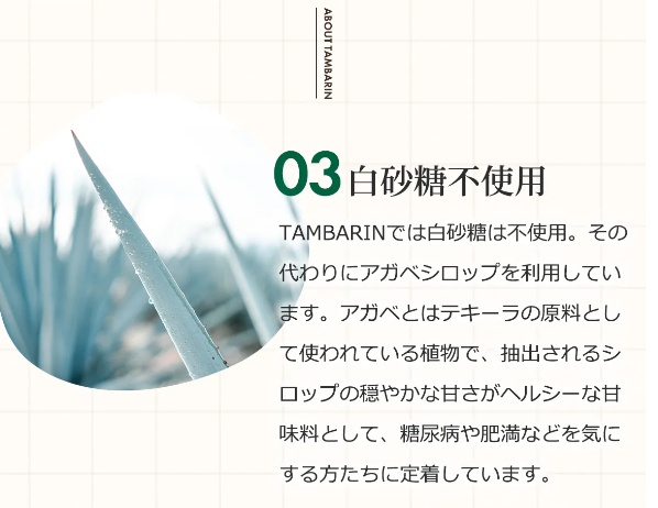 タンバリン31