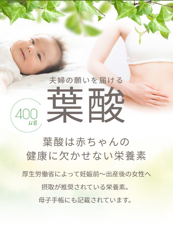 アロベビー12