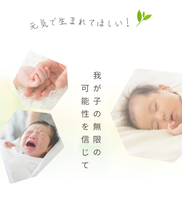 アロベビー19