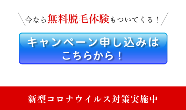 リンリン6