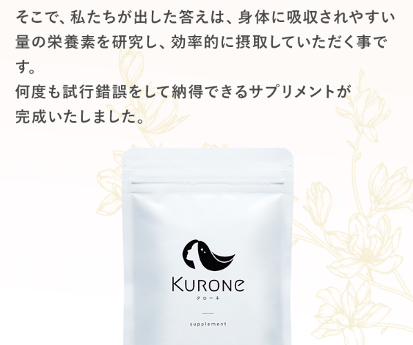 クローネ11