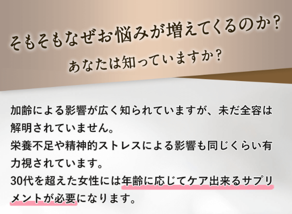 クローネ13