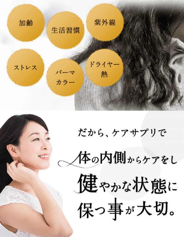 クローネ14