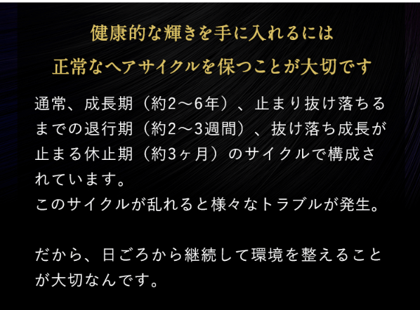 クローネ40