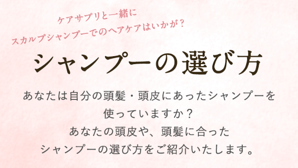 クローネ41