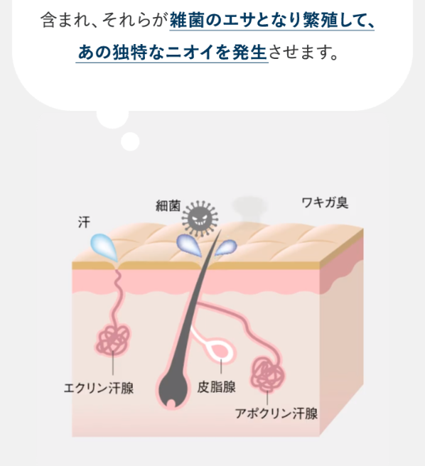 ノアンデ37