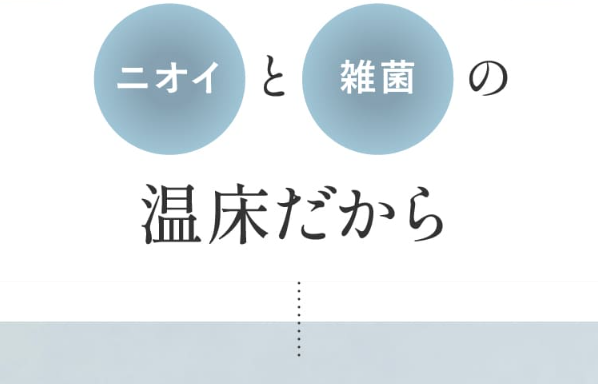 ノアンデ40