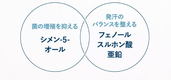 ノアンデ42