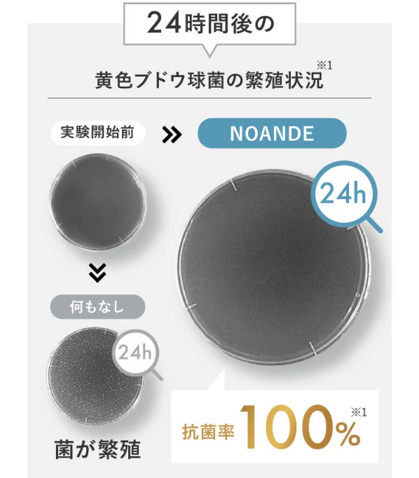 ノアンデ47