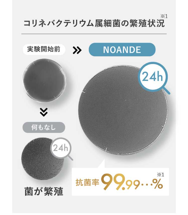 ノアンデ48