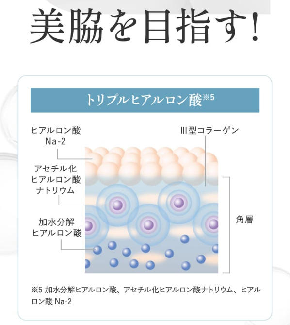 ノアンデ53