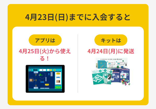 ワンダー ボックス11
