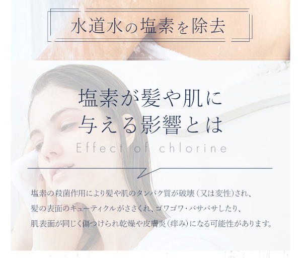 ボリーナアヴァンティ45