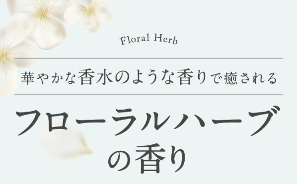 メルス53