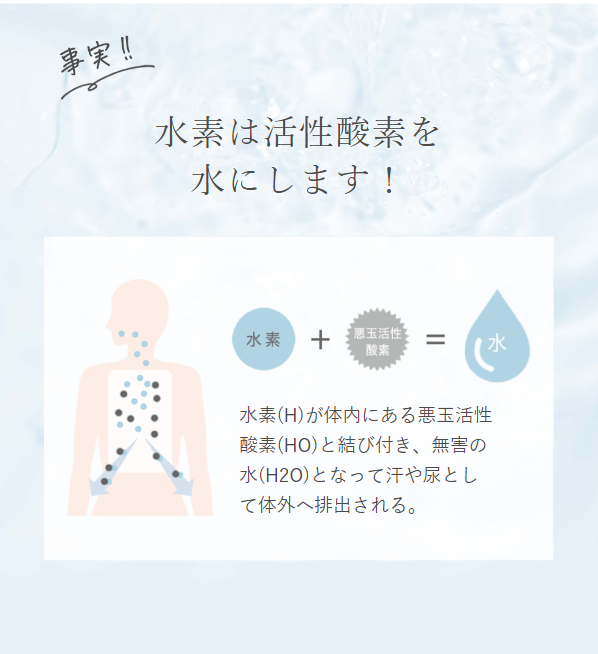エクスチェンジ7