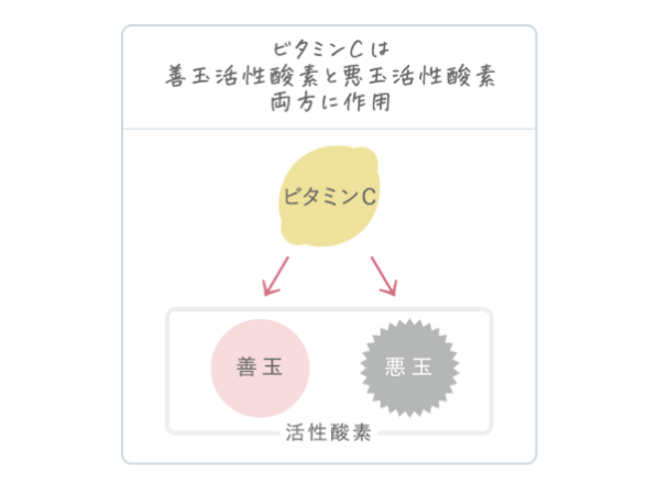 エクスチェンジ9