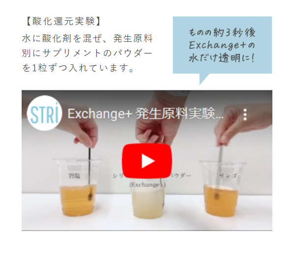 エクスチェンジ12