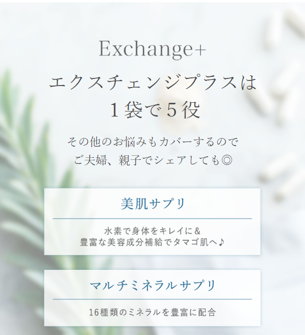 エクスチェンジ26