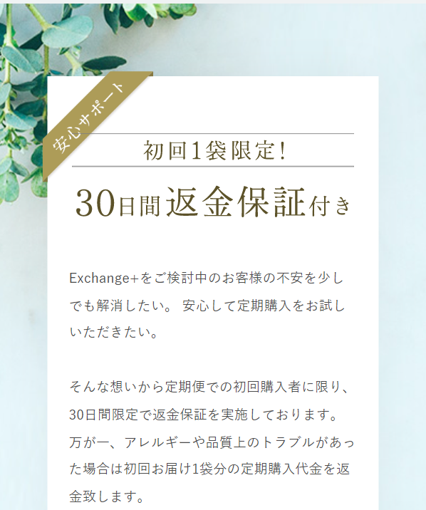 エクスチェンジ45