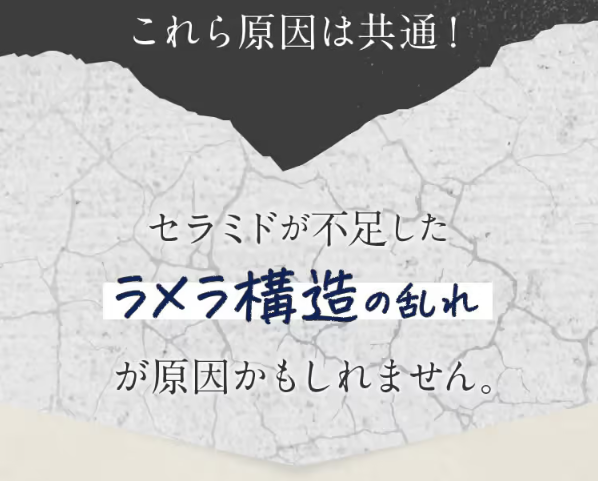 しろ彩29