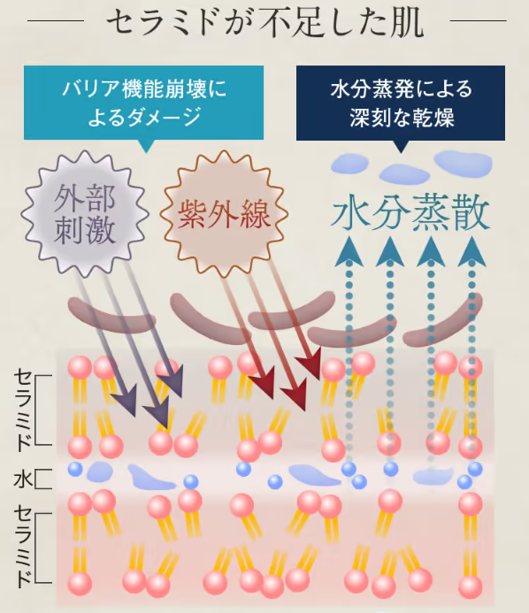 しろ彩35