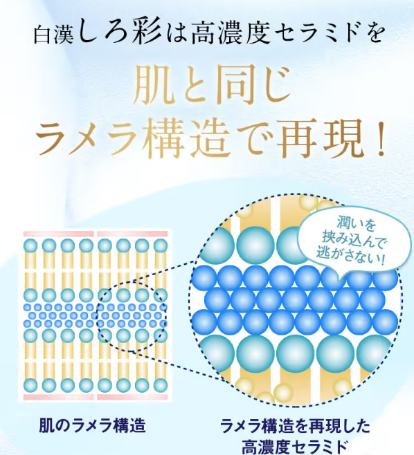 しろ彩40