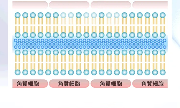 しろ彩42