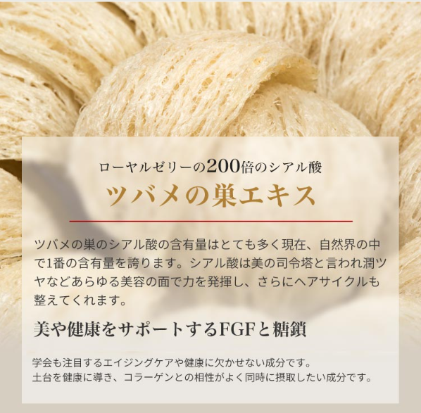 ブラックアップ5