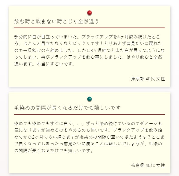 ブラックアップ21