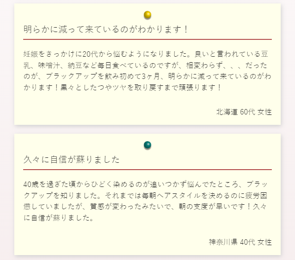 ブラックアップ22