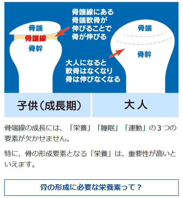 スクスクのっぽくん19