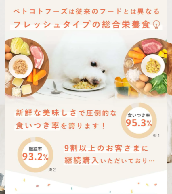 ペトコトフーズ2
