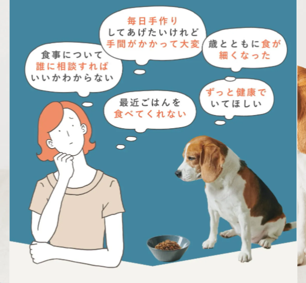 ペトコトフーズ4