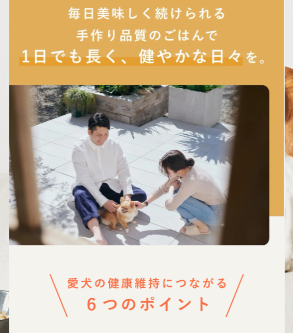 ペトコトフーズ6