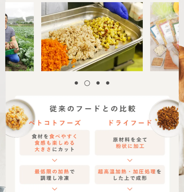 ペトコトフーズ10