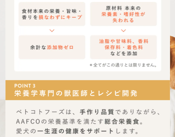 ペトコトフーズ11