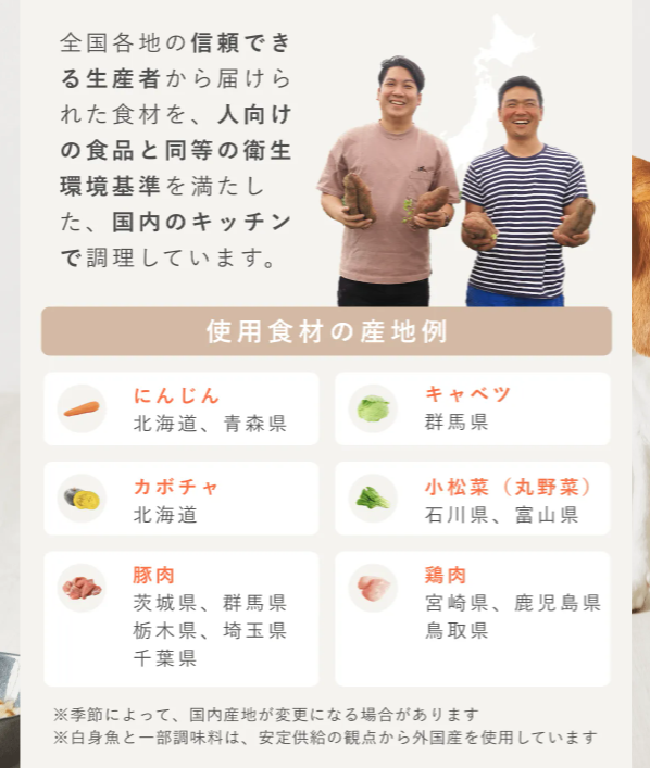 ペトコトフーズ13