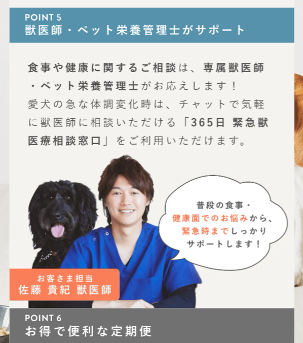 ペトコトフーズ14