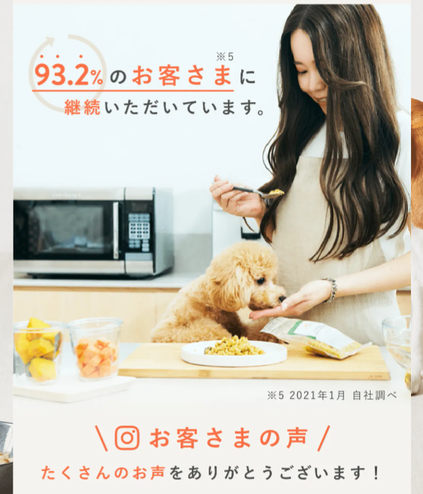 ペトコトフーズ17