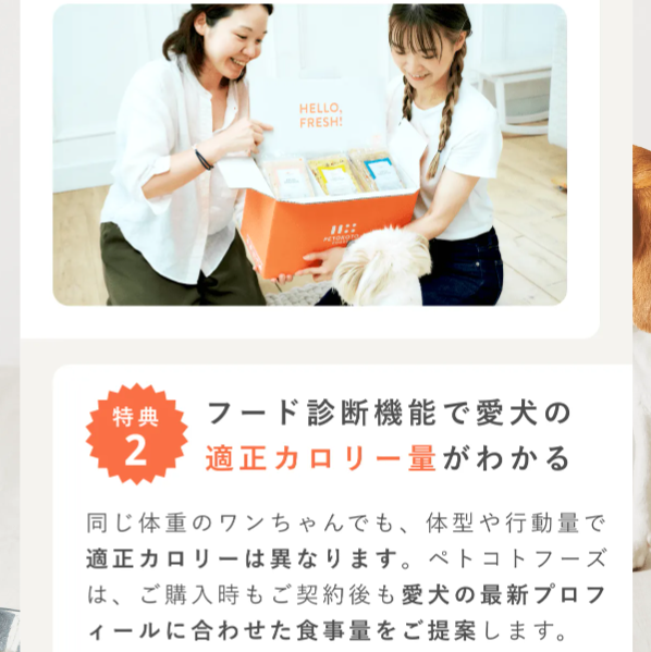 ペトコトフーズ20