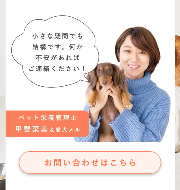 ペトコトフーズ23